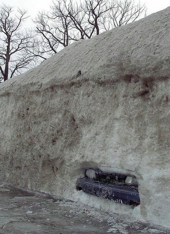 Daily picdump (148 pics)