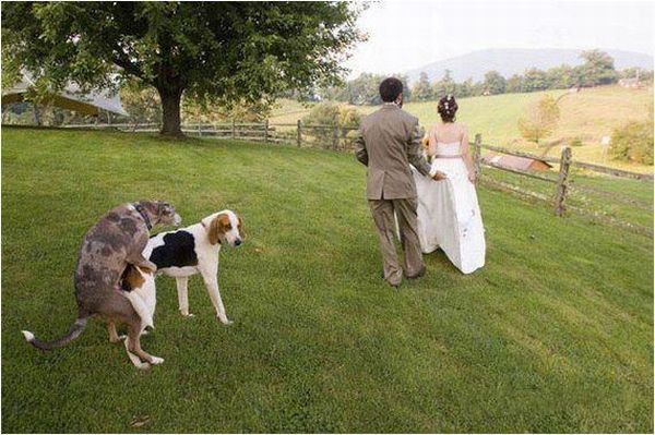 Daily picdump (148 pics)