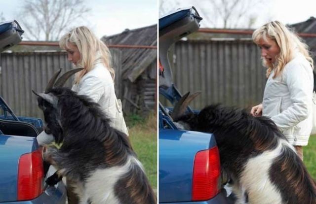 Daily picdump (148 pics)
