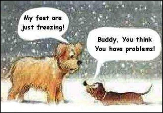 Daily picdump (148 pics)