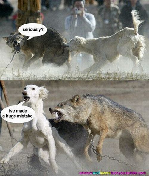 Daily picdump (148 pics)