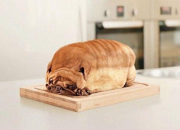 Daily picdump (148 pics)