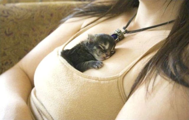Daily picdump (148 pics)