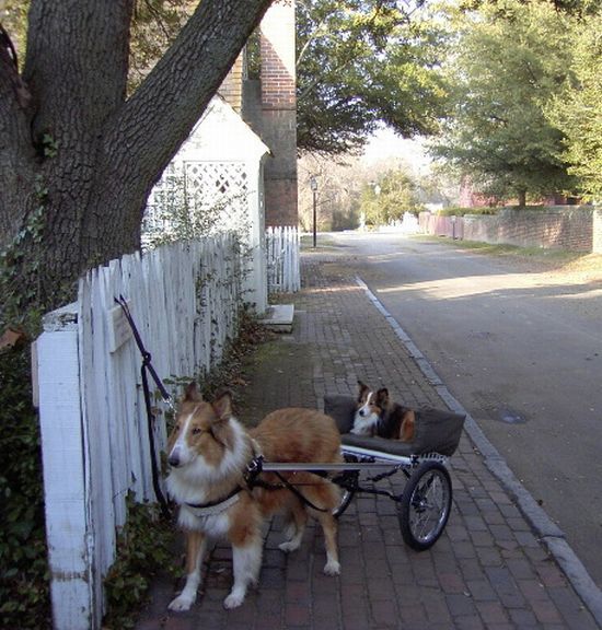 Daily picdump (148 pics)