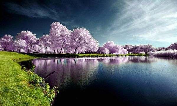 Mother Nature In All Its Glory (25 pics)