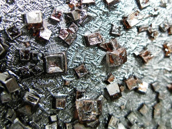 Riddle of the Day. What Do You Think These Are? (5 pics)