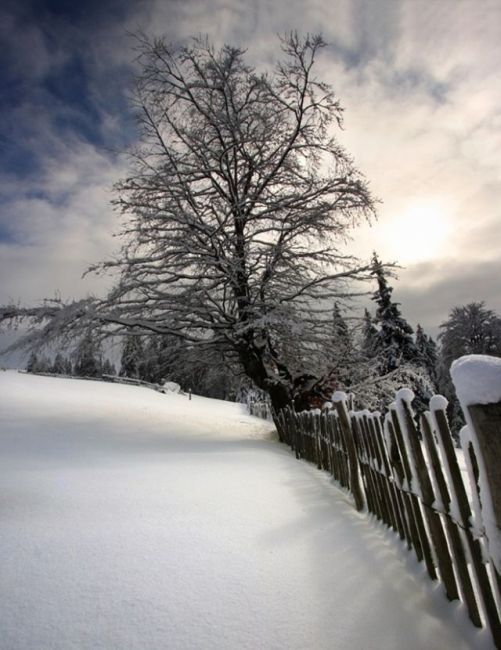 The Wonders of Winter (51 pics)