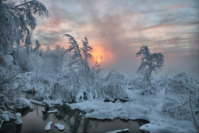 The Wonders of Winter (51 pics)