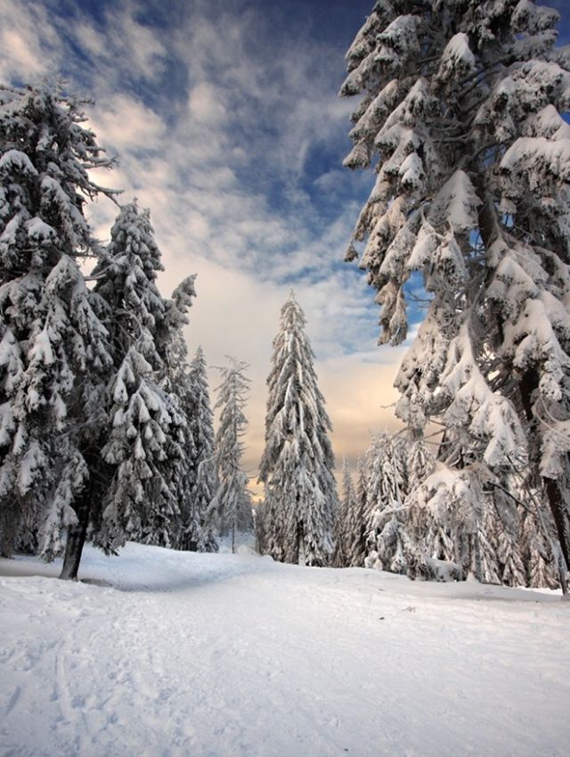 The Wonders of Winter (51 pics)