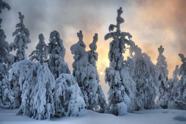 The Wonders of Winter (51 pics)