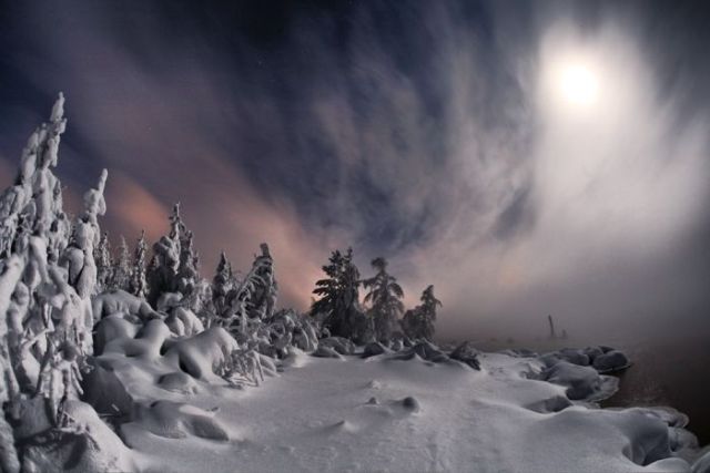 The Wonders of Winter (51 pics)