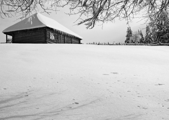 The Wonders of Winter (51 pics)