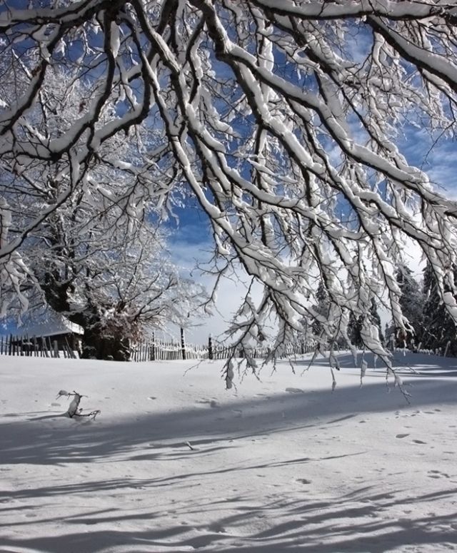 The Wonders of Winter (51 pics)