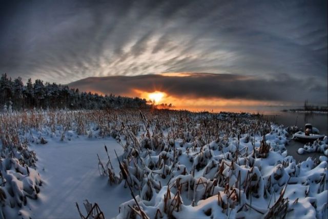 The Wonders of Winter (51 pics)