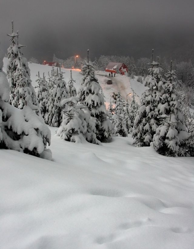The Wonders of Winter (51 pics)