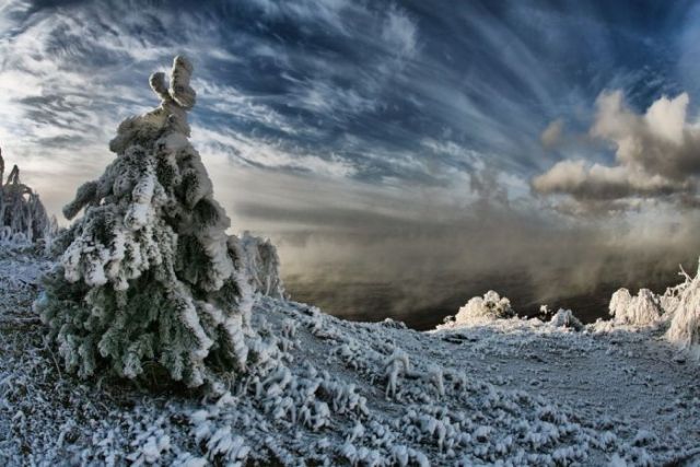 The Wonders of Winter (51 pics)