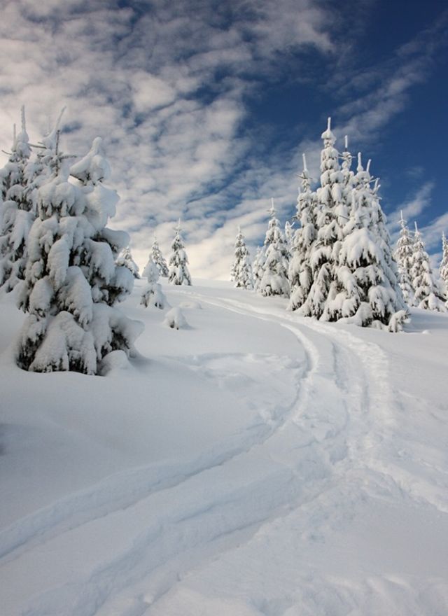 The Wonders of Winter (51 pics)