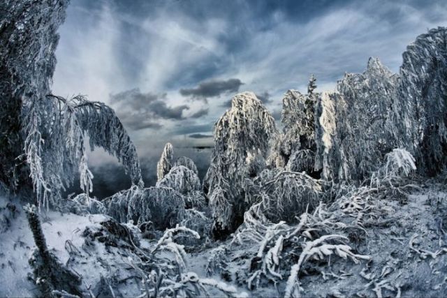 The Wonders of Winter (51 pics)