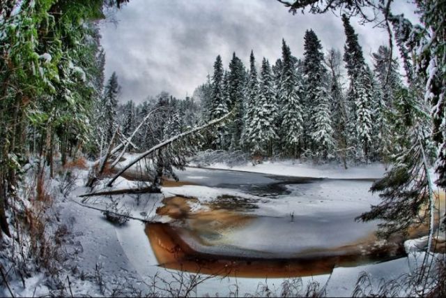 The Wonders of Winter (51 pics)