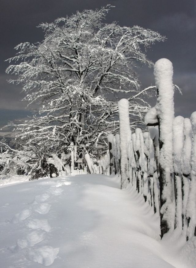 The Wonders of Winter (51 pics)