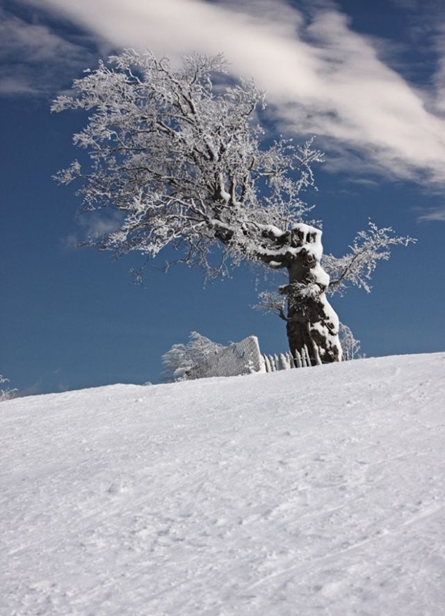 The Wonders of Winter (51 pics)