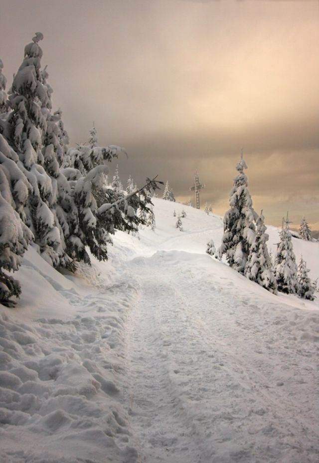 The Wonders of Winter (51 pics)
