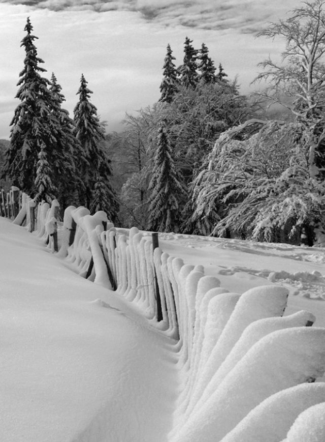 The Wonders of Winter (51 pics)