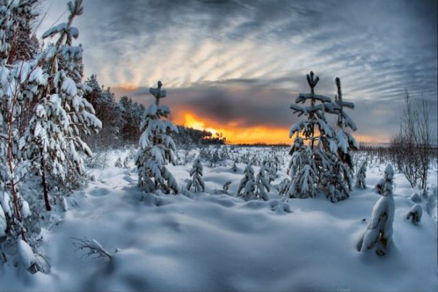 The Wonders of Winter (51 pics)