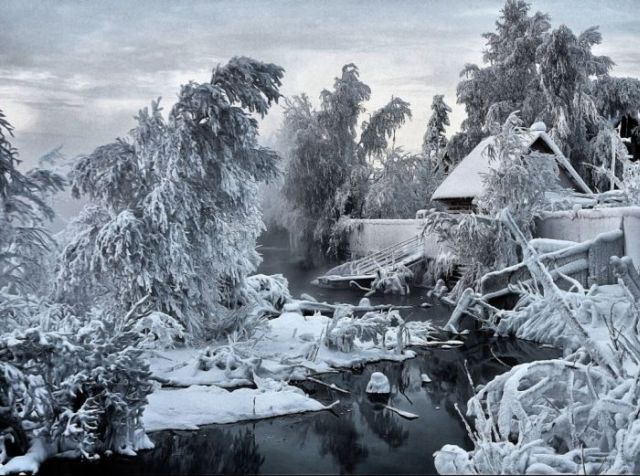 The Wonders of Winter (51 pics)