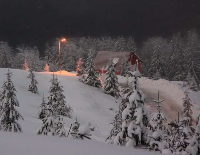 The Wonders of Winter (51 pics)