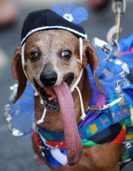 Daily picdump (125 pics)