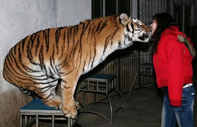 Daily picdump (125 pics)