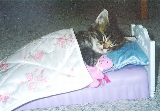 Daily picdump (125 pics)