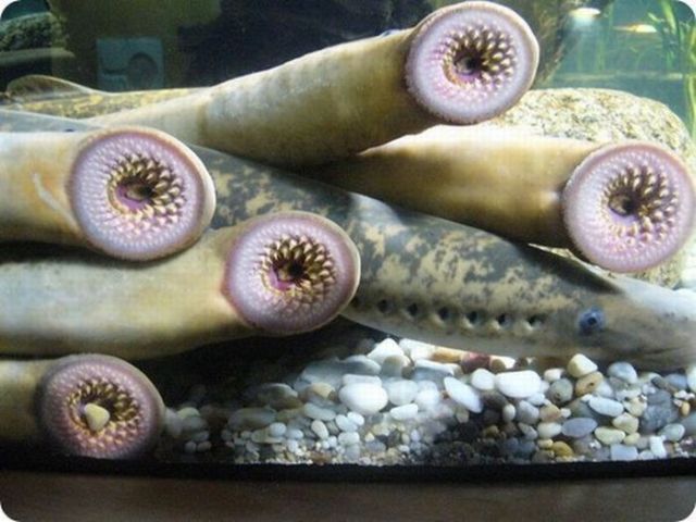 Daily picdump (125 pics)
