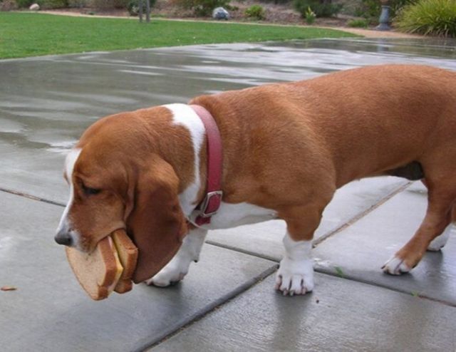 Daily picdump (125 pics)
