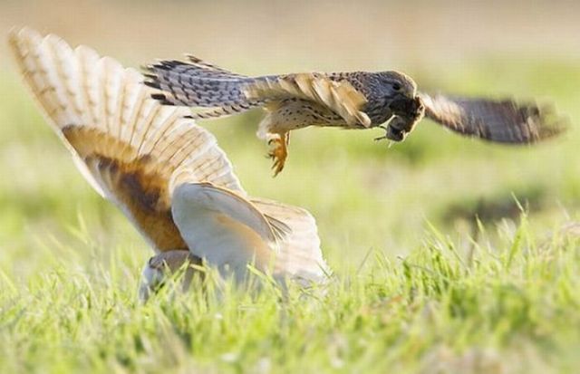 Daily picdump (125 pics)