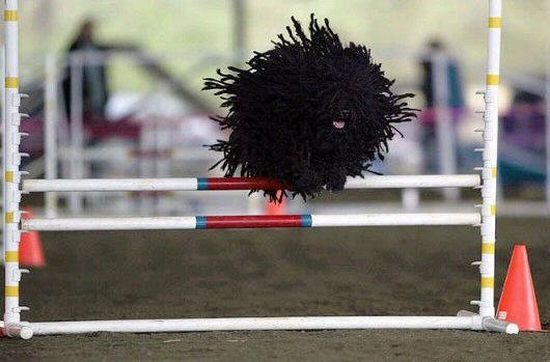 Daily picdump (125 pics)