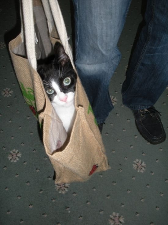 Daily picdump (125 pics)