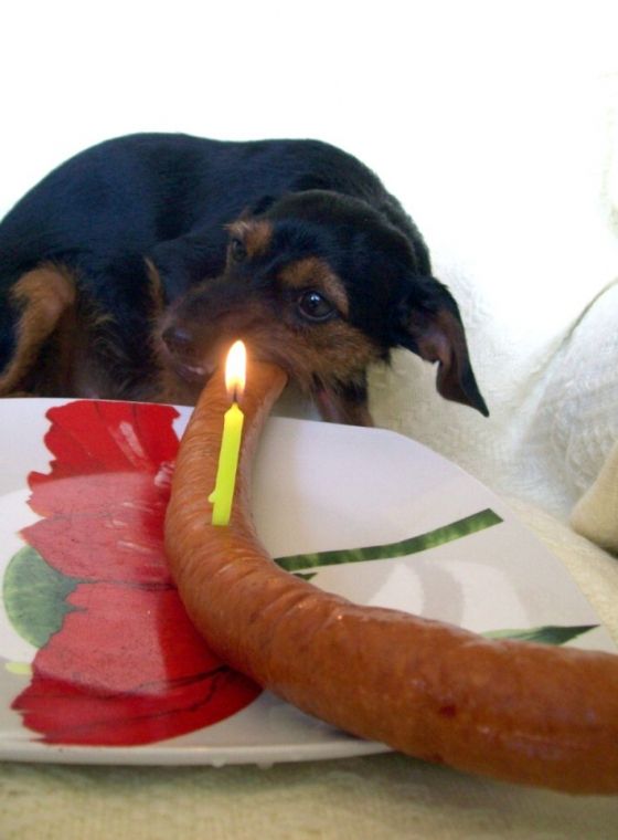 Daily picdump (125 pics)