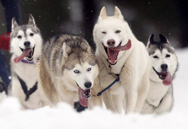 Daily picdump (125 pics)