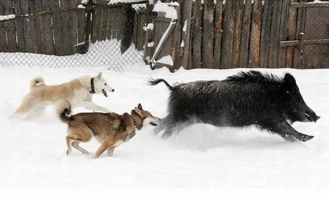Daily picdump (125 pics)