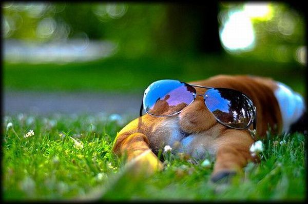 Daily picdump (125 pics)