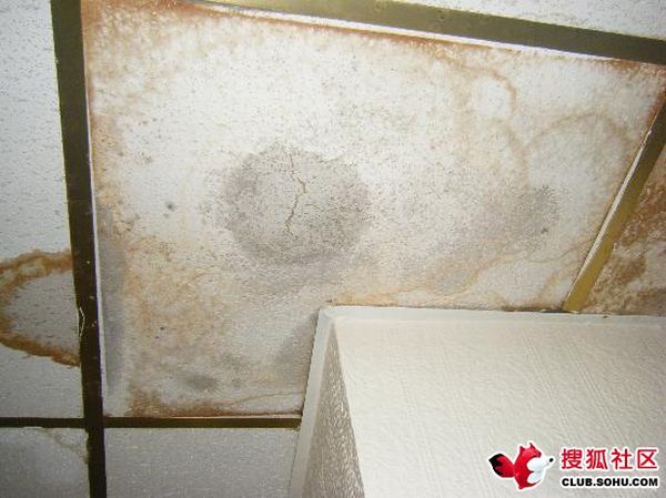 Hotel From Hell (10 pics)