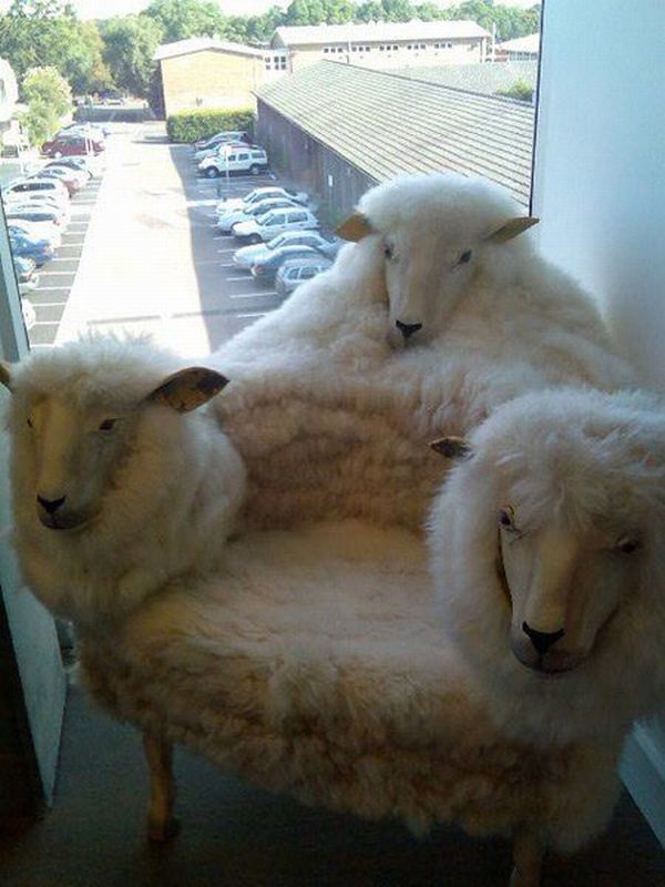 Have a Seat (86 pics)