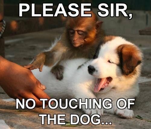 Daily picdump (142 pics)