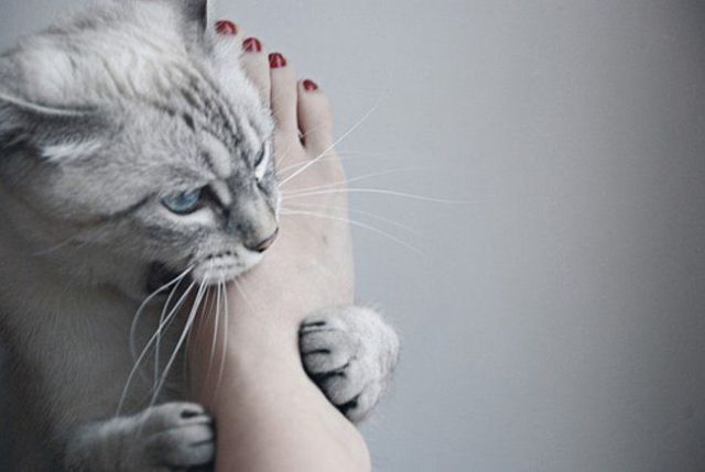 Daily picdump (142 pics)
