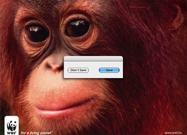 Daily picdump (142 pics)