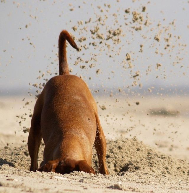 Daily picdump (142 pics)