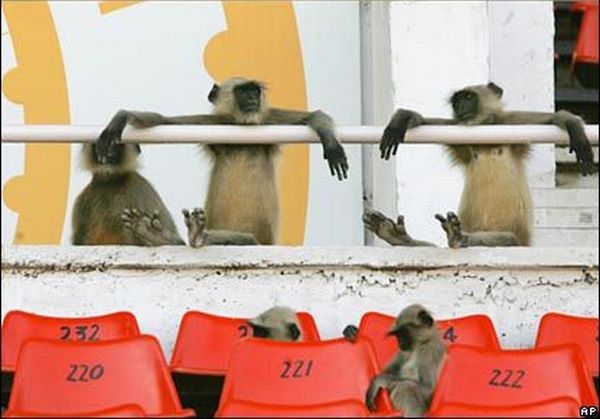 Daily picdump (142 pics)