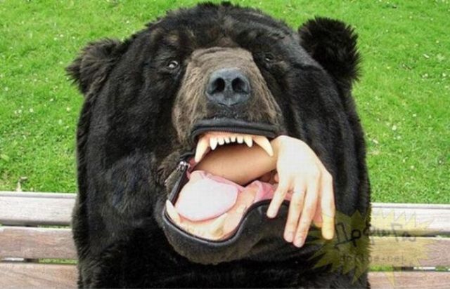 Daily picdump (142 pics)